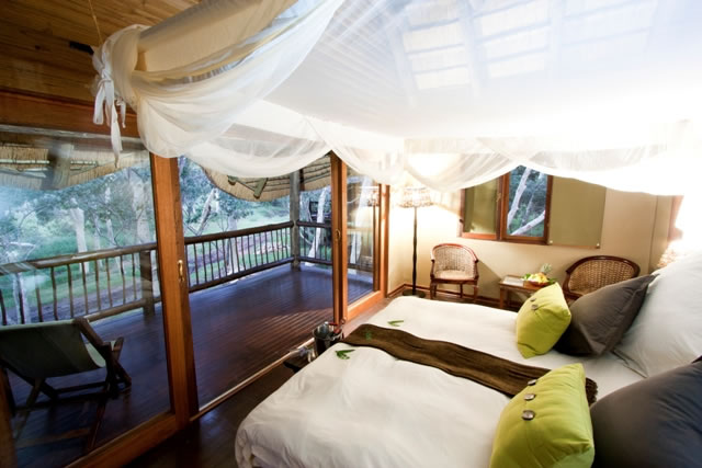 Zululand Tree Lodge