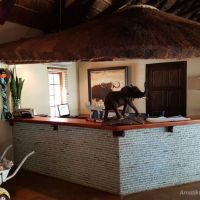amakhosi-safari-lodge-reception-1.jpg