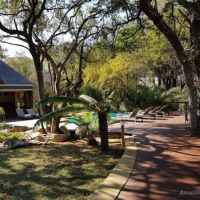 amakhosi-safari-lodge-swimming-pool-1.jpg