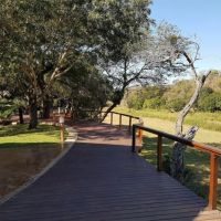 amakhosi-safari-lodge-viewing-deck-1.jpg