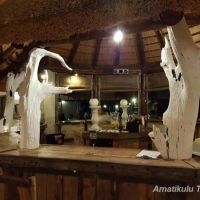 bayala-camp-bar-1.jpg