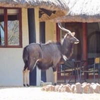 ubizane_zululand_safari_lodge_16.jpg