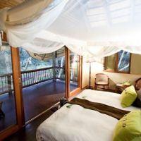 Zululand Tree Lodge