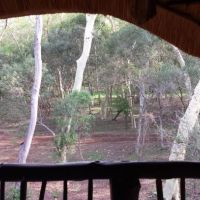 ubizane_zululand_tree_lodge_12.jpg