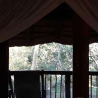 ubizane_zululand_tree_lodge_3.jpg