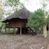 ubizane_zululand_tree_lodge_9.jpg