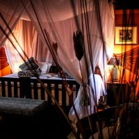 Elephant Safari Lodge - Luxury Safari Suite