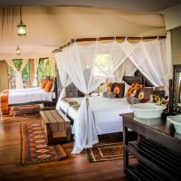 Luxury Tented Camp - Family Tent