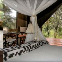 Luxury Tented Camp - Luxury Tent